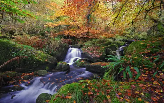 осень, водопад, лес, ручей, природа, листва, река, 