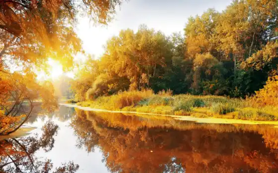 утро, осень, осенние, лесу, осеннее, утра, река, природа, 