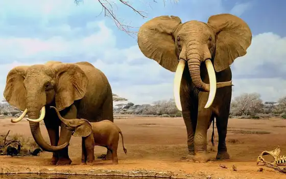 слоном, а также сговором