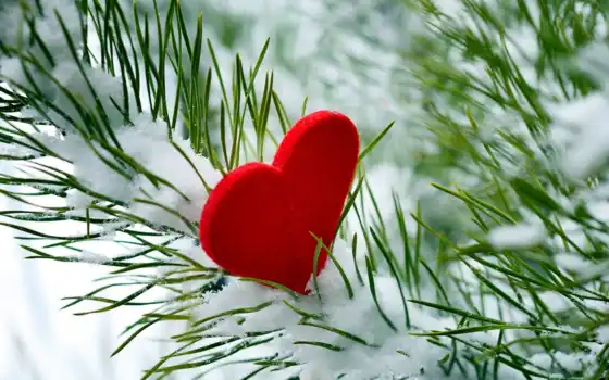 love, winter, сердце, дерево, снег, you, 