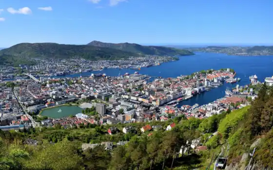 bergen, река, норвегия, house, город, norwegian, первую, кот, фон