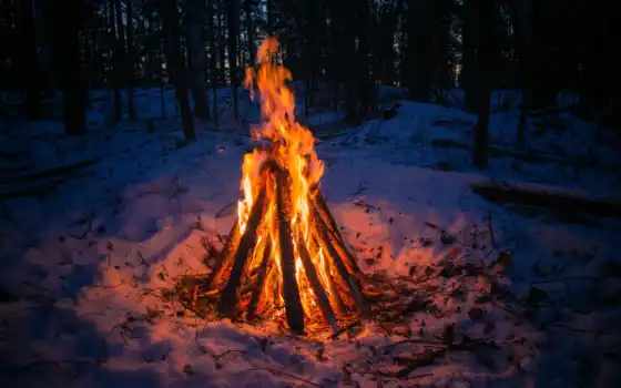 лес, winter, kostryi, огонь, снег