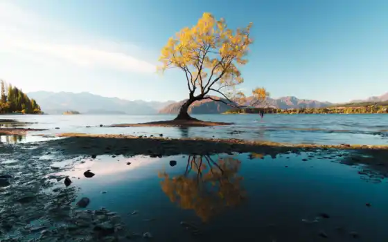 дерево, осень, большой, расин, фото, мир, озеро
