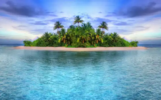 остров, тропический, пальма, дерево, пляж, океан, море