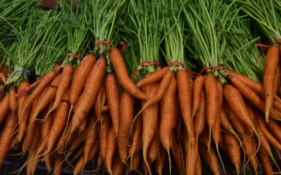 обои на рабочий стол, красивые картинки, картинки для ipad, обои для android