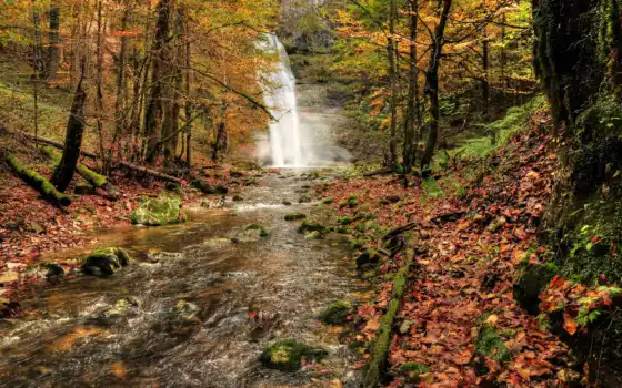 otoño, del, bosque, cascada, naturaleza, deviantart, río, rboles,burtn, осень,