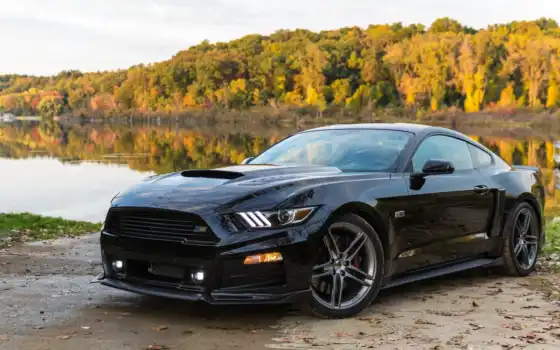 mustang, ford, roush, the