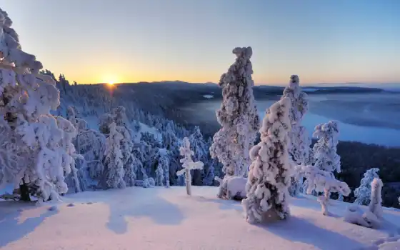 финляндию, руку, зиму, куусамо, род