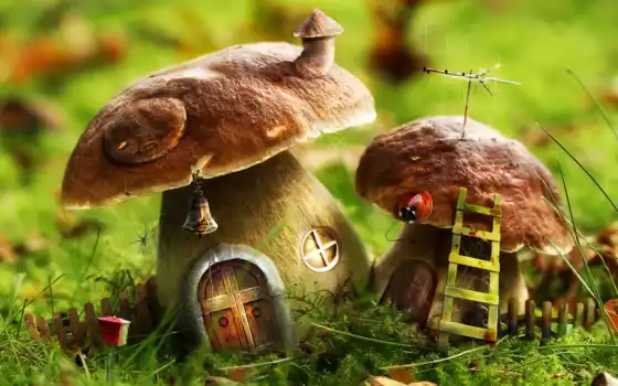 грибы, дома, грибов, house, fantasy, 
