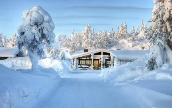 дом, зимой, жить