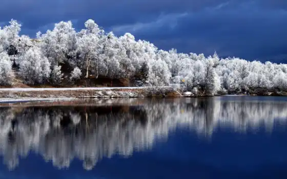 озеро, зима, лес, природа, раньше, нет, впереди
