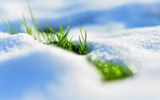 снег, весна, трава, природа, winter, melt, free
