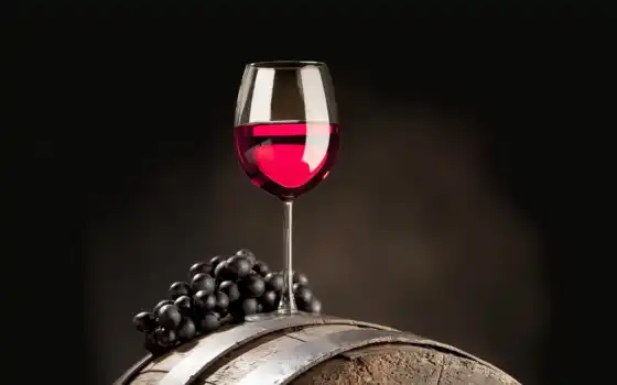 вино, вина