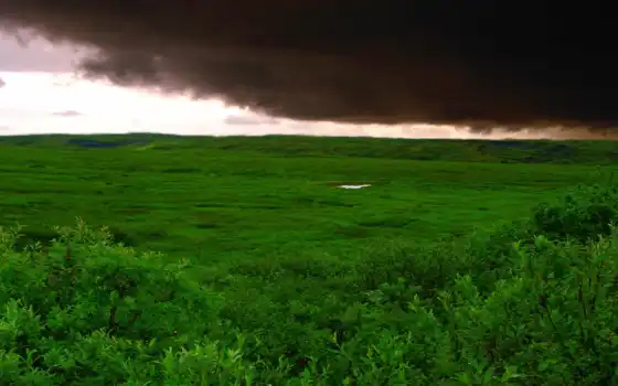 облака, буря, зелёный, трава, красивые, поле, катаклизмов, 