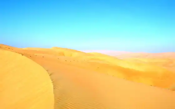 цель, пустыня, песок, класс, зелень, евклид, федроц i