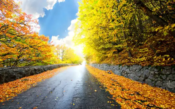 дорога, природа, пейзаж, небо, облака, деревья, лес, листья, осень, 