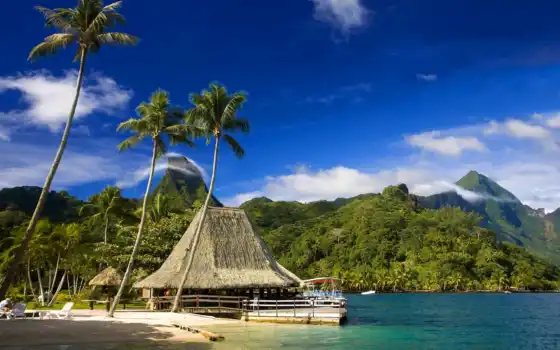 tahiti, остров, bora, смежные, финансовые, технические характеристики, два, площадь, площадь, со,