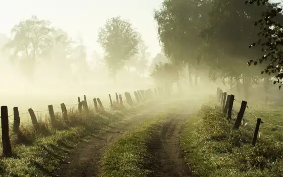 утро, рассвет, дорога, туман, трава, лес, природа, девушка, забор, 