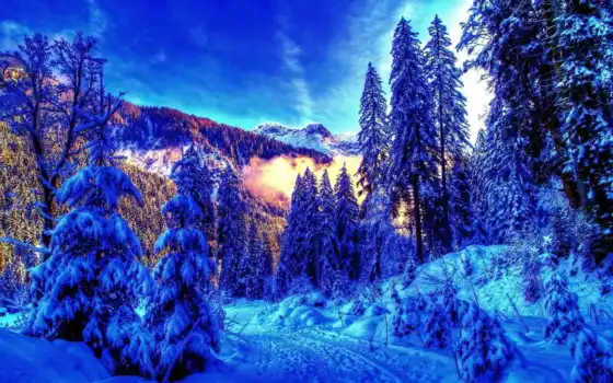 зима, лес, горные пейзажи, пейзаж, утренний, вкус,