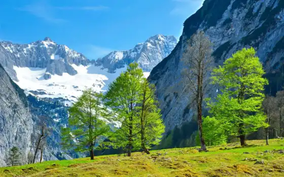 naturaleza, paisaje, австрия, montañas, que, hierba, gratis, rboles, публику, изображения,