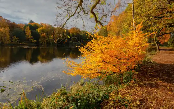 осень, йоркубский, пейзаж, цвет, озеро