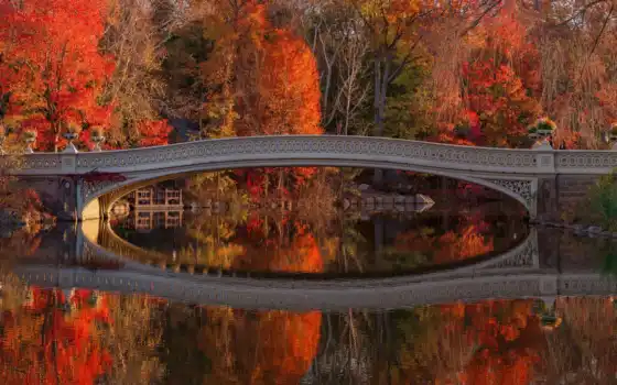 парк, мост, осень, опора, новый, деревянный, ливан, ручка, вода