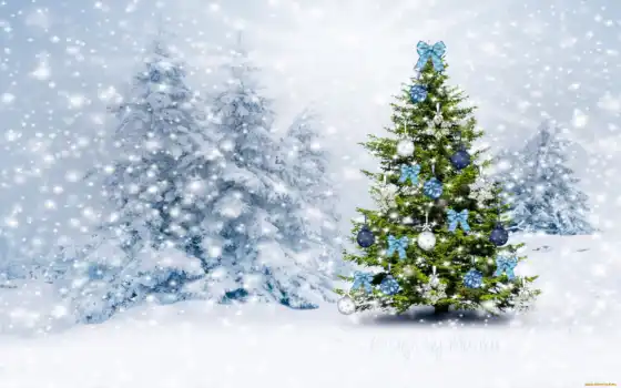 дерев, зима, заступничество, рождество, ялинка, нокцина,