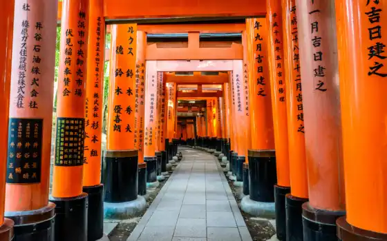inari, fushimus, shrine, kyoto
