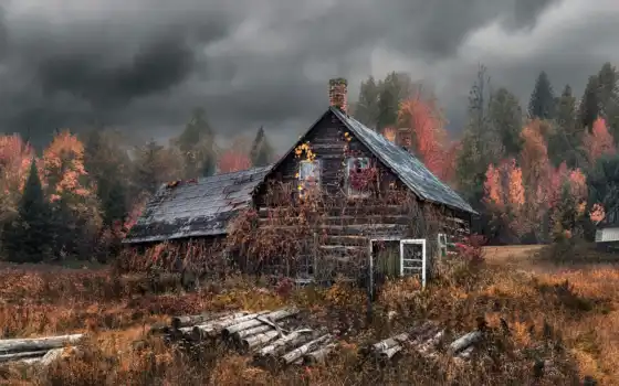 ,дом, лес, осень