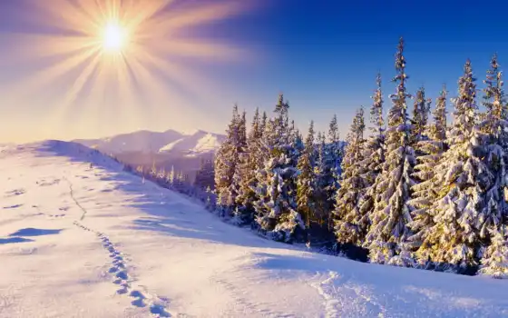 пейзажи -, зиму, зимние, добрым, утром, восхитительные, холода, погоду, переносите, трудом, 