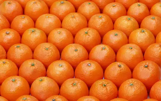 naranja, comprar, tangerine, использование, интернет, онлайн