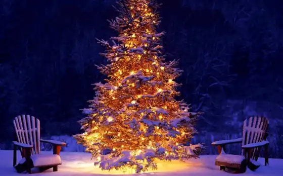 елка, украсить, новый год, свет, decoration, красивый,, офис, идея