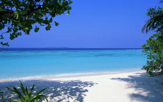 tropical, взгляд, maldives, пляж, море, 