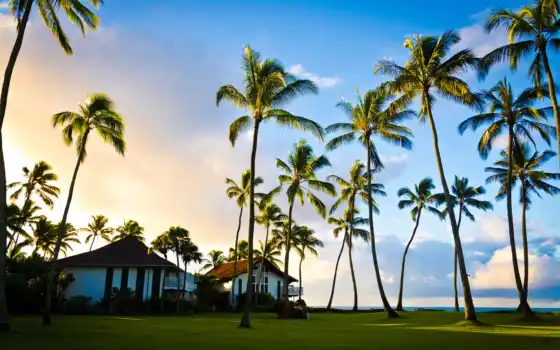 хавайи, ладони, дом, дерев, лето, родные, домашние, пейзажи, знаменитости