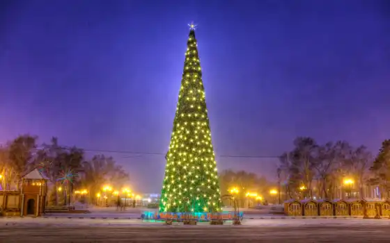 christmas, елка, árvore, дерево, россия