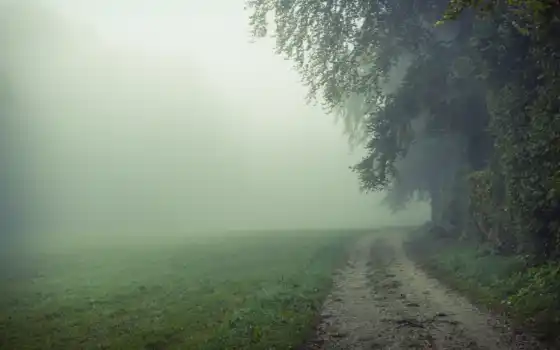 природа, поле, дорога, туман, утро, картинка, картинку, 