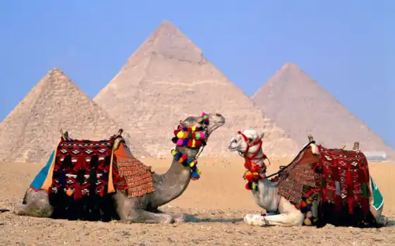 красоты, египет, египте, туры, египта, отдых, эль, море, 