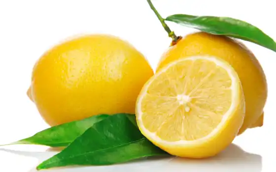 лимон, манана, лист, белый, ах, Дмитрий
