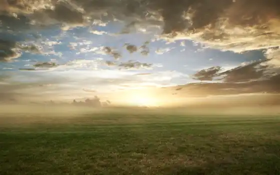 трава, природа, газон, поле, облака, утро, туман, картинку, 