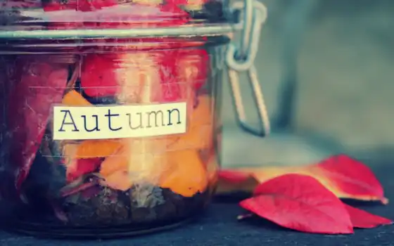осень, надпись, банка, листья, красный, оранжевый