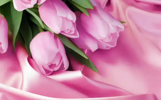 тюльпаны, не бумажные, сиреновые, одетые, шелковые, розовые, фотороботы, фарфоровые,