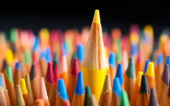 pencil, color, makryi, настроение, shirokoformatnyi, concept, leadership, colorful, multicolored