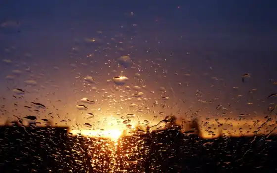 дождь, осень, город, окно