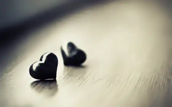 сердце, макро, черный, настроение, сердечки, сердечка, два, сердцу, 