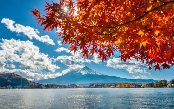 лист, япония, осень, japanese, дерево, озеро