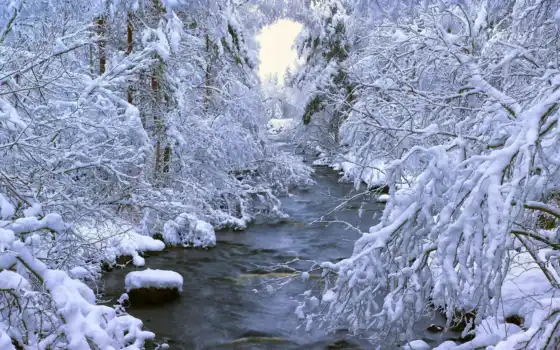 зима, сухие, лес, деревья, шведское, река, современные лесные, даларна,