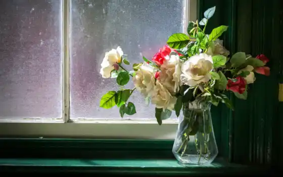 flowers, ваза, картинка, cvety, окно, цветы, 