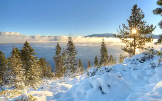 озеро, Невада, зима, сьерра, снег, Калифорния, США, дерево, гора, природа