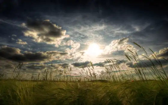 ретро, поле, окна, трава, солнце, облака, музыка, страница,