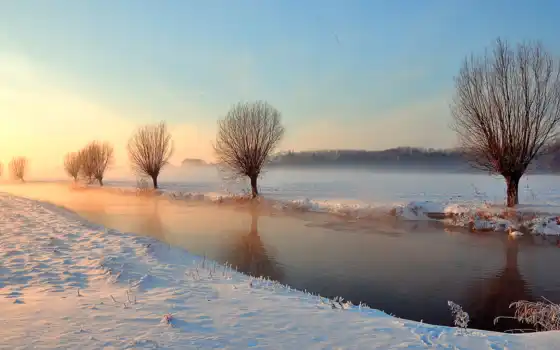 деревья, зима, река, лебедь, канал, свет, 